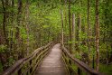 066 Congaree NP
